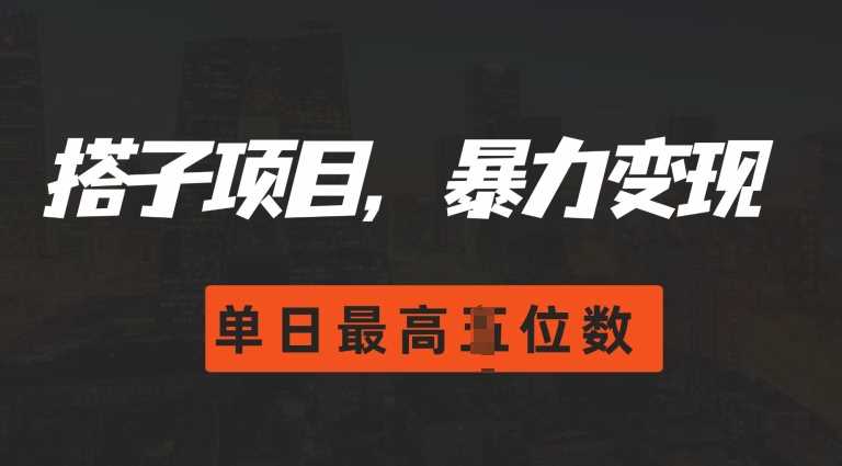 搭子玩法，0门槛，暴力变现，单日最高破四位数【揭秘】-项目汇