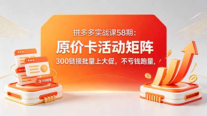 拼多多实战课58期：原价卡活动矩阵，300链接批量上大促，不亏钱跑量-项目汇