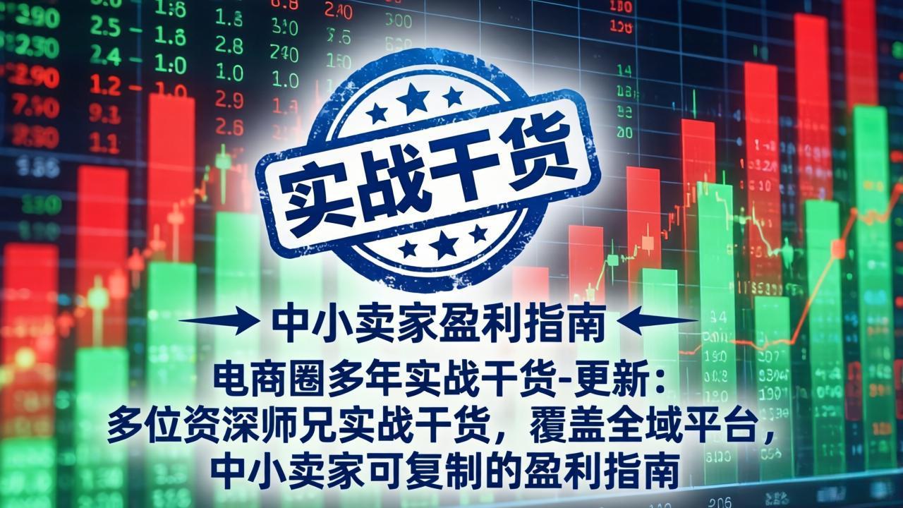 电商圈多年实战干货-更新5月10：多位资深师兄实战干货/覆盖全域平台，中小卖家可复制的盈利指南-项目汇