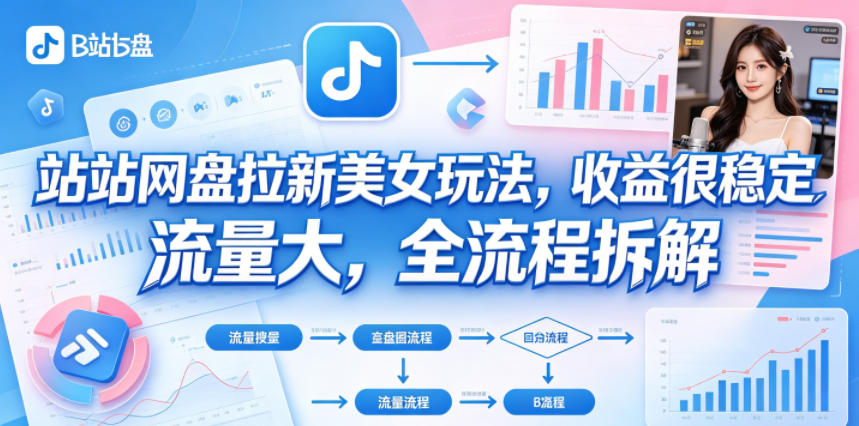 B站网盘拉新美女玩法，收益很稳定，流量大，全流程拆解-项目汇