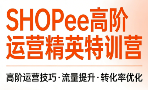 梦凡老师·Shopee虾皮高阶运营课程(更新5月)-项目汇