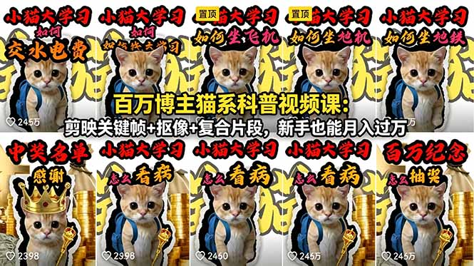 百万博主猫系科普视频课:剪映关键帧+抠像+复合片段,新手也能月入过万-项目汇