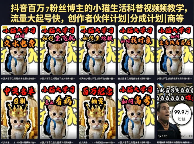 抖音百万粉丝博主的小猫生活科普视频教学,流量大起号快,创作者伙伴计划|分成计划|商单|收徒等-项目汇
