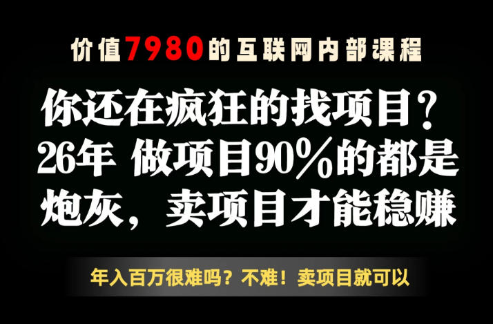 26年请不要疯狂的找项目了,卖项目远比你想象的暴利,你也可以月入10W+【揭秘】-项目汇