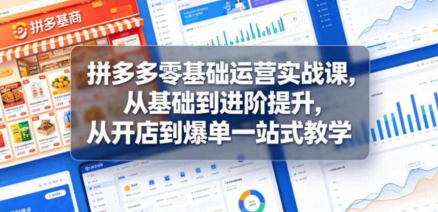 拼多多零基础运营实战课，从基础到进阶提升，从开店到爆单一站式教学-项目汇