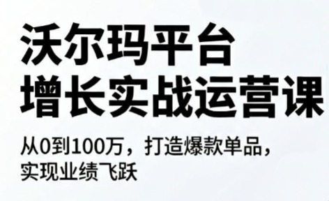 沃尔玛平台增长的实战运营课-项目汇