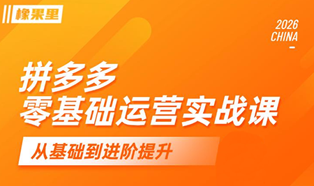 仙道电商·拼多多零基础运营实战课-项目汇