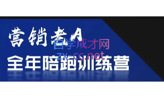 老A营销训练营(更新6月)-项目汇
