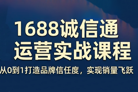 看山老师·阿里巴巴1688诚信通运营课程-项目汇