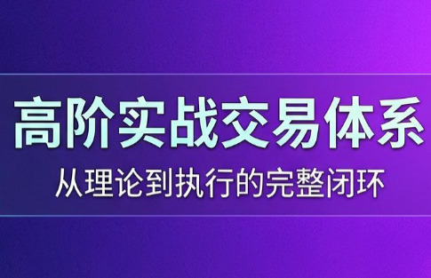 高老师·高阶实战交易体系(更新6月)-项目汇
