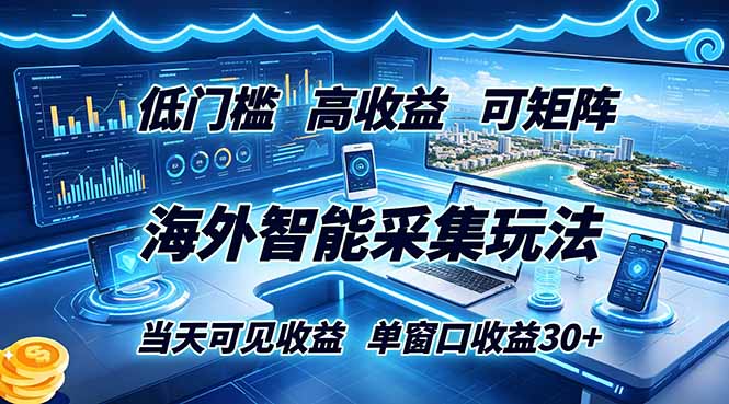 海外智能采集玩法,低门槛高单价可矩阵,当天可见收益,单窗口30+-项目汇