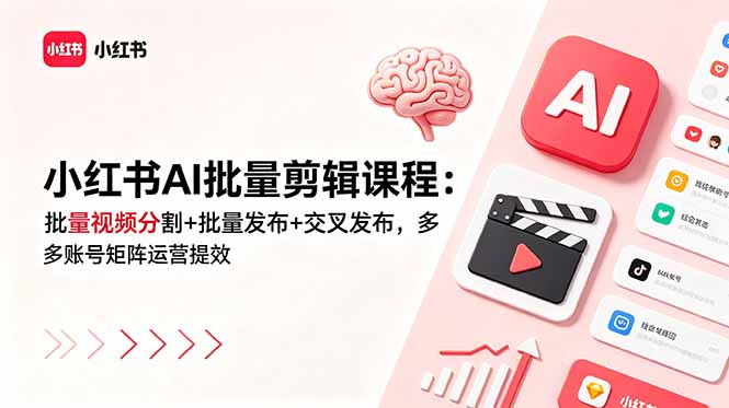 小红书AI批量剪辑课程：批量视频分割+批量发布+交叉发布，多账号矩阵运营提效-项目汇