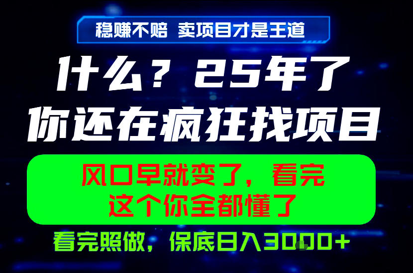26年,请不要疯狂的找项目做了!卖项目才是真的稳賺不赔,看完照做,保底日入1k+【揭秘】-项目汇