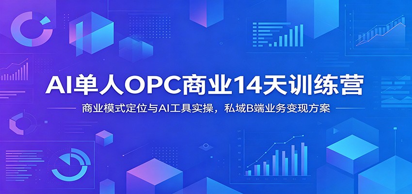AI单人OPC商业14天训练营：商业模式定位与AI工具实操，私域B端业务变现方案-项目汇