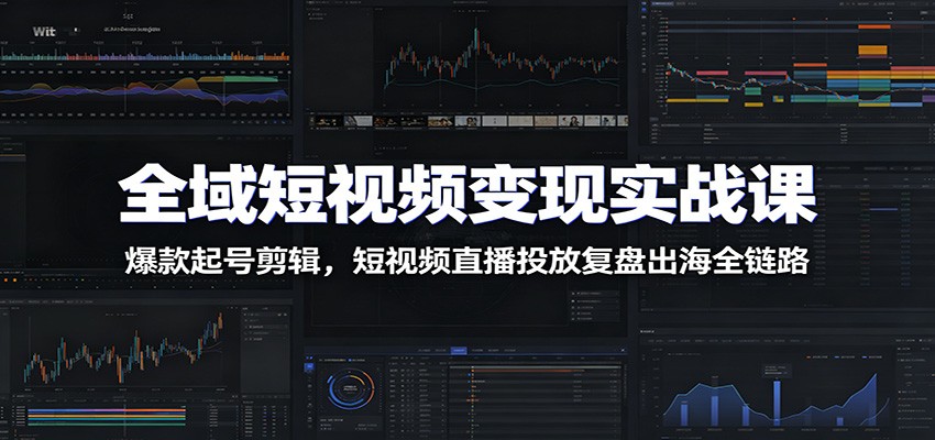 全域短视频变现实战课：爆款起号剪辑，短视频直播投放复盘出海全链路-项目汇