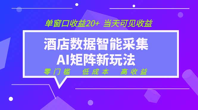 2026酒店数据采集ai智能矩阵新风口  低成本   高收益   当天见收益   单窗口20+-项目汇