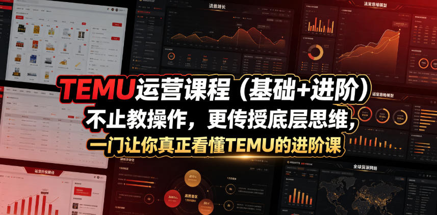 TEMU运营课程(基础+进阶)，不止教操作，更传授底层思维，一门让你真正看懂TEMU的进阶课-项目汇