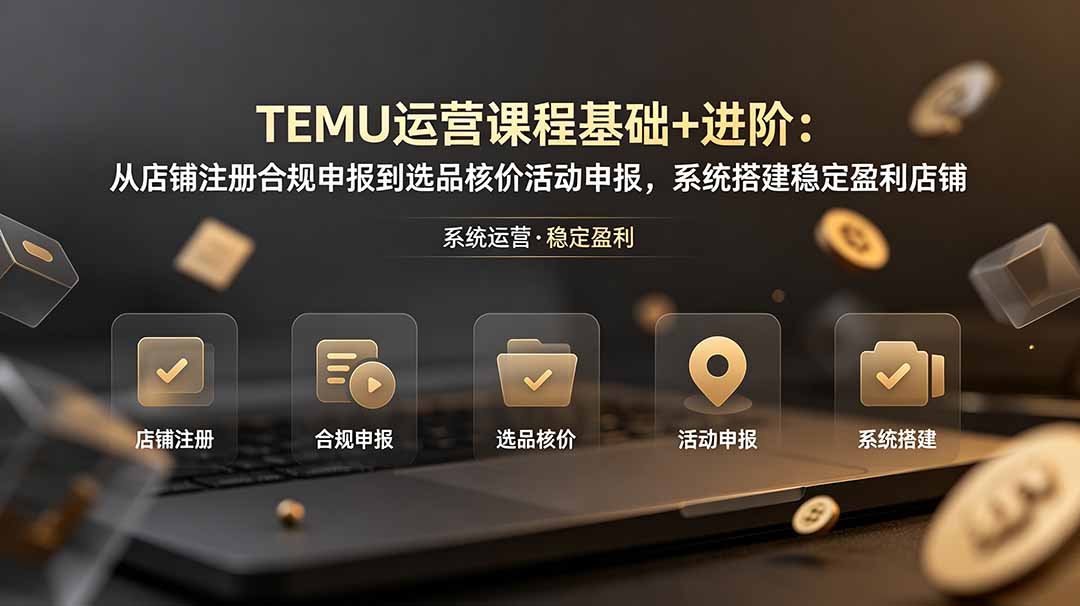 TEMU运营课程(基础+进阶-项目汇
