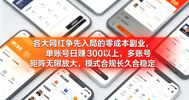各大网红争先入局的零成本副业，单账号日赚 300 以上，多号矩阵可放大，模式合规长久稳定！-项目汇