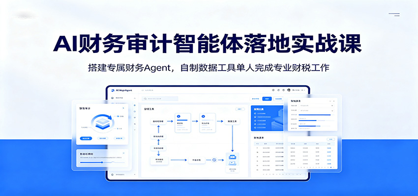 AI财务审计智能体落地实战课：搭建专属财务Agent，自制数据工具单人完成专业财税工作-项目汇