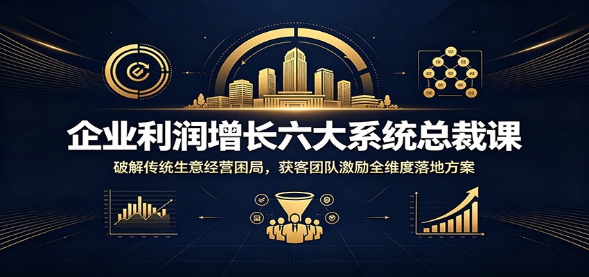 企业利润增长六大系统总裁课:破解传统生意经营困局,获客团队激励全维度落地方案-项目汇