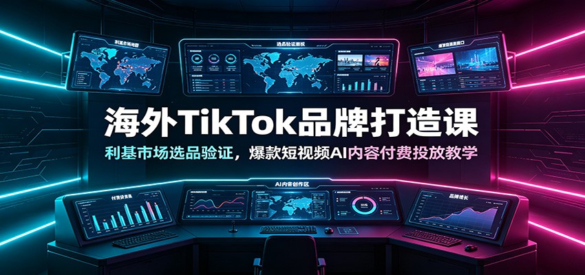 海外TikTok品牌打造课：利基市场选品验证，爆款短视频AI内容付费投放教学-项目汇