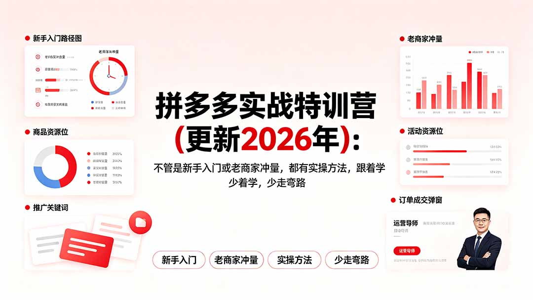 拼多多实战特训营(更新2026年-项目汇