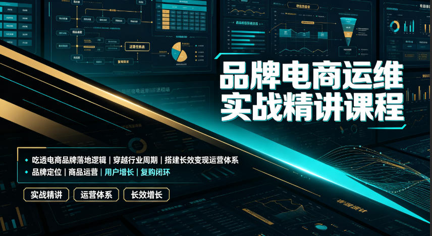 品牌电商运维实战精讲课程｜吃透电商品牌落地逻辑、穿越行业周期、搭建长效变现运营体系-项目汇