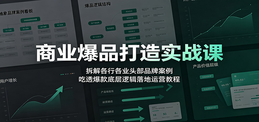 商业爆品打造实战课：拆解各行各业头部品牌案例，吃透爆款底层逻辑落地运营教程-项目汇