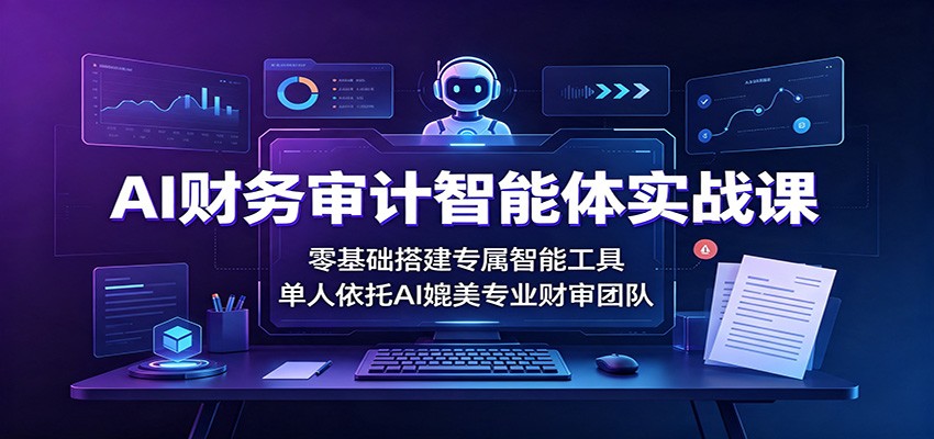 AI财务审计智能体实战课:零基础搭建专属智能工具,单人依托AI媲美专业财审团队-项目汇