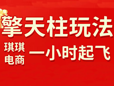 琪琪电商·拼多多擎天柱玩法(更新7月)-项目汇