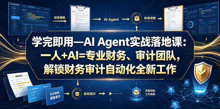 学完即用—AI Agent实战落地课:一人+AI=专业财务、审计团队,解锁财务审计自动化全新工作模式(更新0804)-项目汇