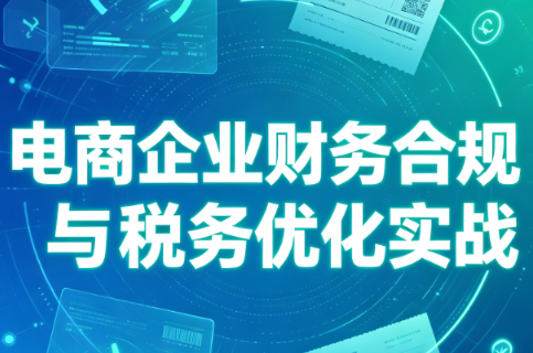 电商企业财务合规与税务优化实战-项目汇