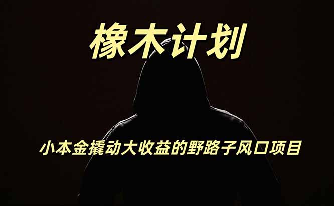 橡木计划,小投入撬动高回报的风口野路子项目,一天投入2小时左右-项目汇