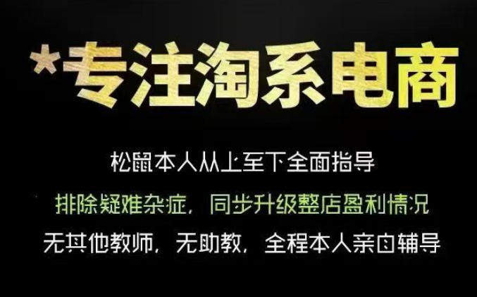 松鼠会电商VIP课程,从基础布局到高阶优化,助你掌握淘宝运营逻辑,提升店铺流量与转化(更新0815)-项目汇