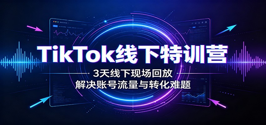 TikTok线下特训营：3天线下现场回放，解决账号流量与转化难题-项目汇