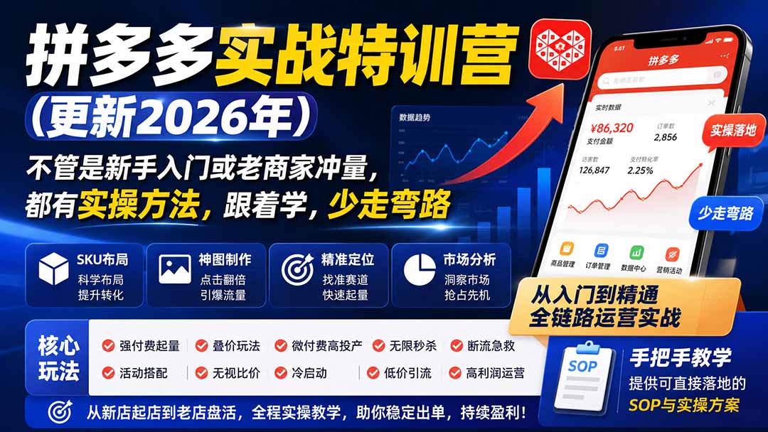 拼多多实战特训营(更新26年0822-项目汇