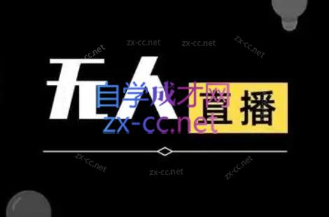 宝子哥·无人直播-非实时防风技术(更新8月)-项目汇