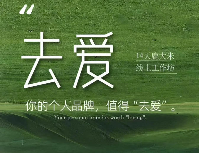 去爱14天鹿大米线上工作坊，你的个人品牌，值得“去爱”-项目汇