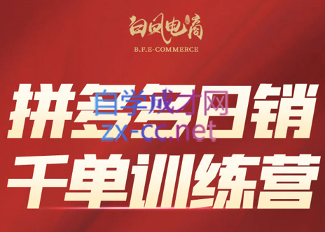 白凤电商·拼多多日销千单训练营(更新8月)-项目汇