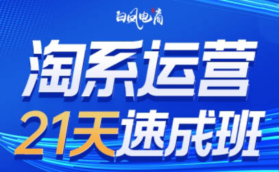 白凤电商·淘系运营21天速成班(更新8月)-项目汇